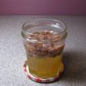 Levain raisin j3-1 Levain raisin sans gluten